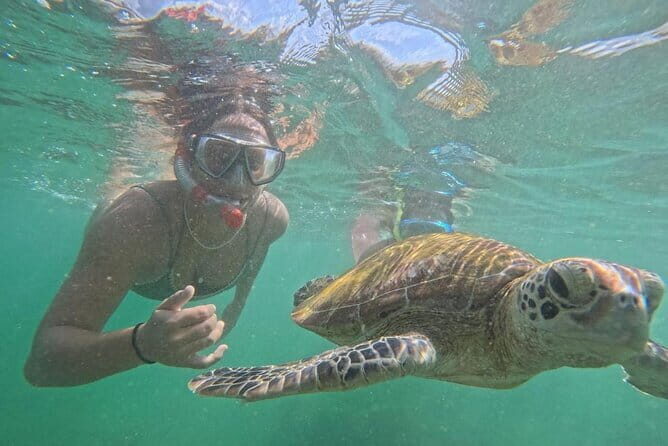 Mirissa Unforgettable Snorkeling Experience with Turtles - Exploring the Itinerary