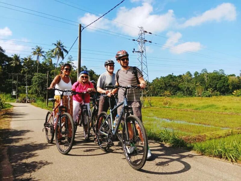 Mirissa/Weligama: Exclusive Galle Countryside Cycling Tour - Who Will Love This Tour?