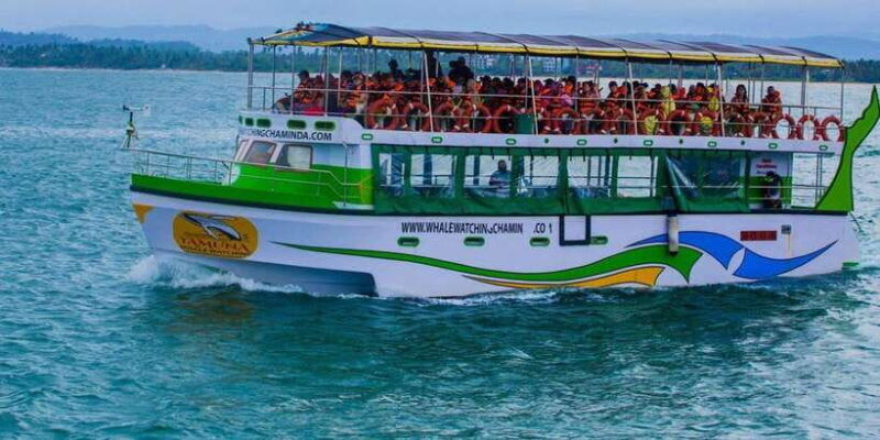 mirissa-whale-dolphin-sightseeing-cruise