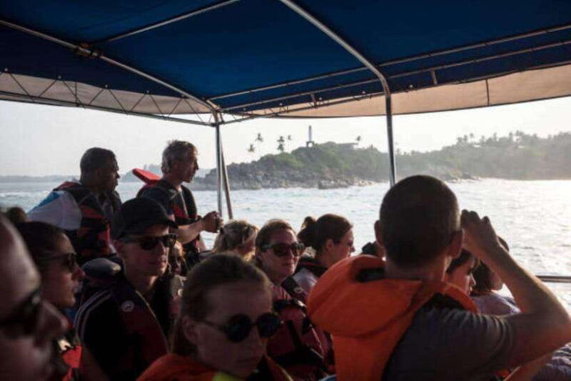 mirissa-whale-watching-cruise