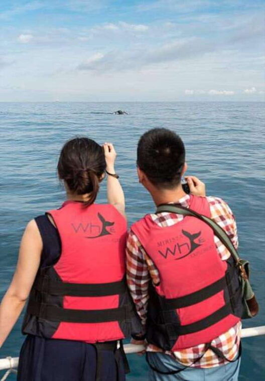 mirissa-whale-watching-cruise