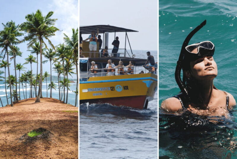 mirissa-whale-watching-snorkeling-and-coconut-hill-tour