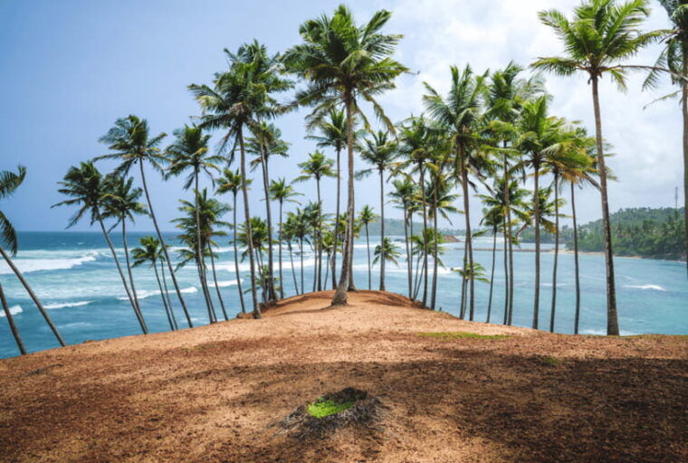 mirissa-whale-watching-snorkeling-and-coconut-hill-tour