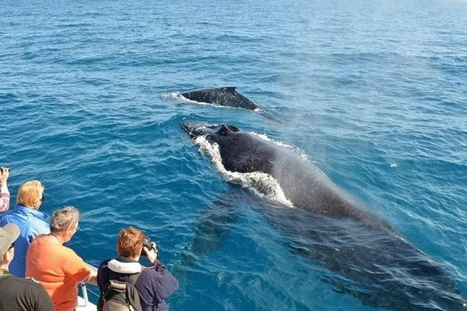 mirissa-whale-watching-stilt-fishing-turtle-tour-from-colombo