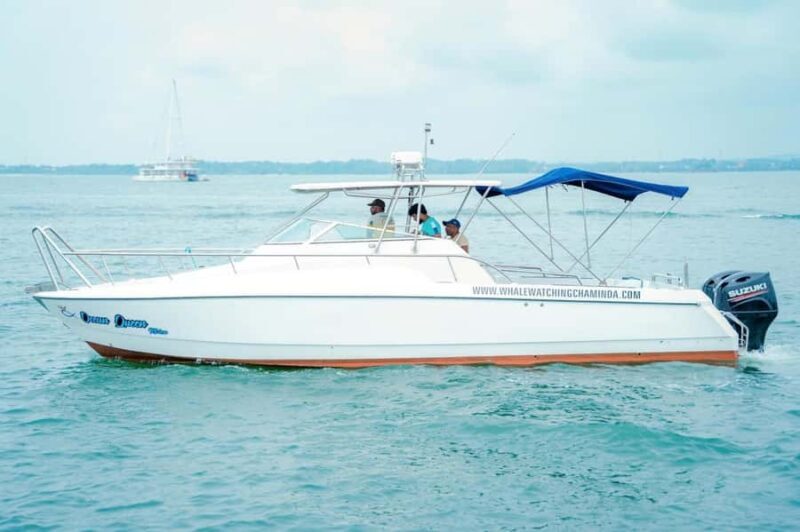 Mirissa Whale Watching Super Luxury Speedboat Private Trip - Key Points
