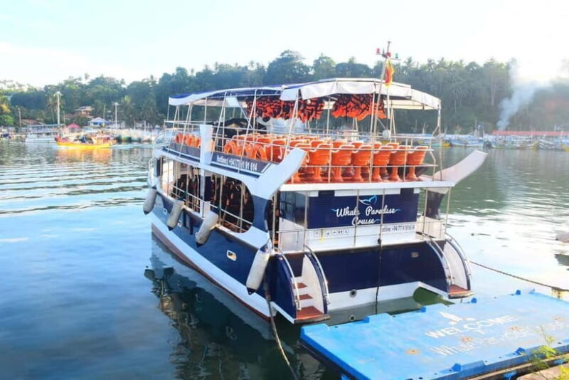 Mirissa: Whale Watching Tour - Key Points