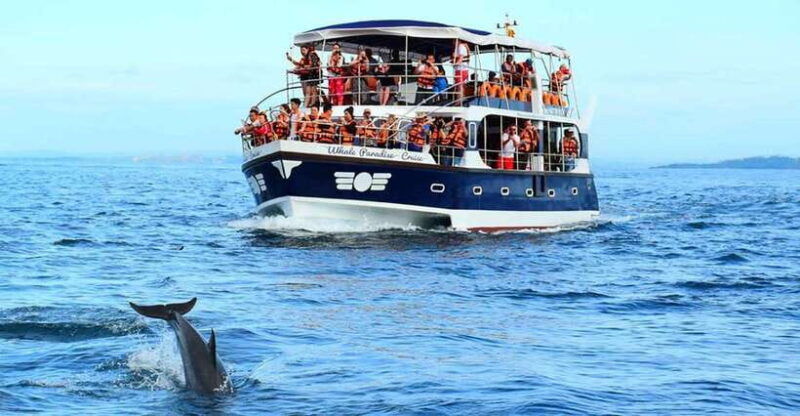 mirissa-whale-watching-tour-a-once-in-a-lifetime-experience