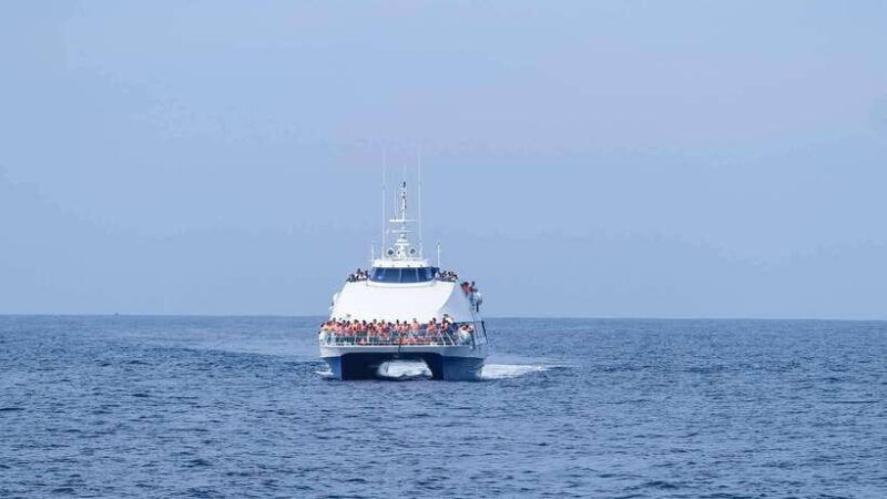 mirissa-whale-watching-tour-from-colombo-or-negombo