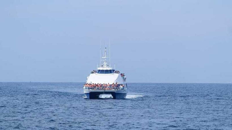 mirissa-whale-watching-tour-from-colombo-or-negombo