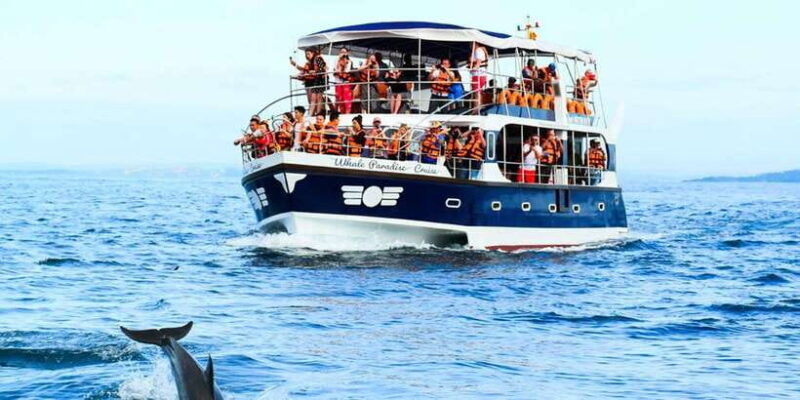 mirissa-whale-watching-tour