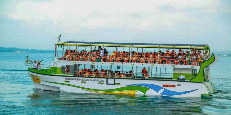 mirissa-whale-watching-tour