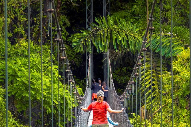 mistico-arenal-hanging-bridges