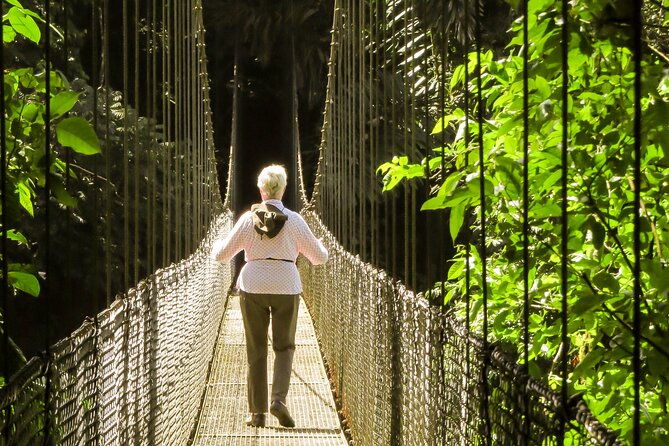 mistico-arenal-hanging-bridges