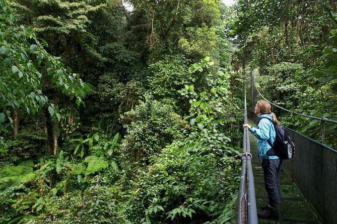 mistico-arenal-hanging-bridges