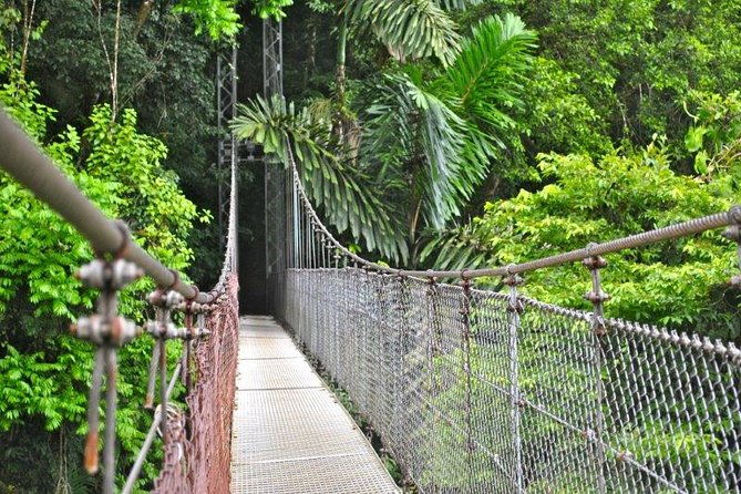 mistico-hanging-bridges-park-from-la-fortuna