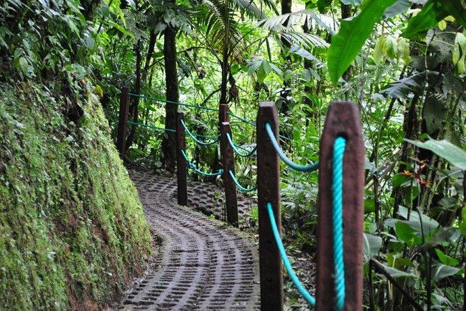 mistico-hanging-bridges-park-from-la-fortuna