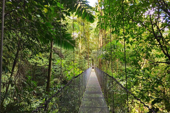 mistico-hanging-bridges-with-transportation-and-naturalist-guide