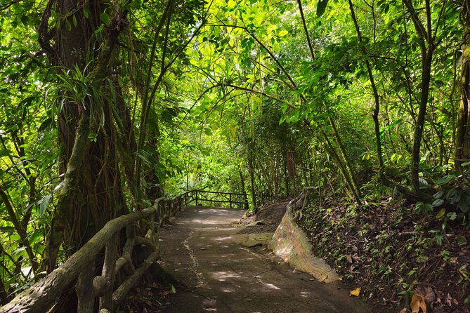 mistico-hanging-bridges-with-transportation-and-naturalist-guide