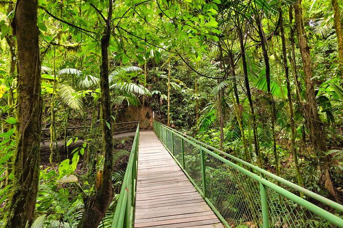 mistico-hanging-bridges-with-transportation-and-naturalist-guide