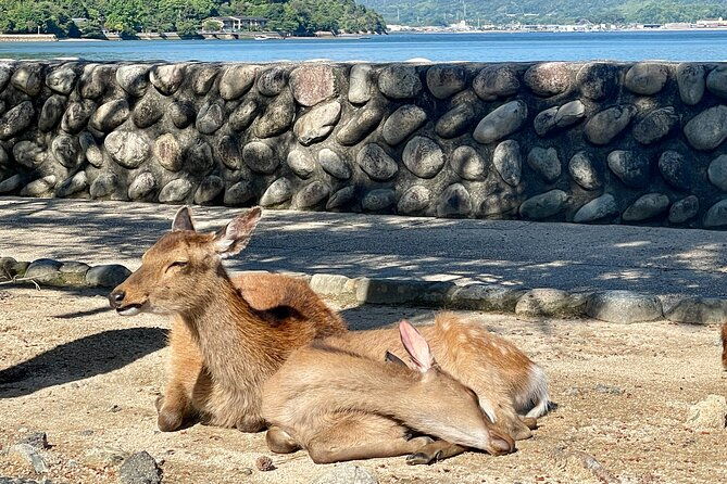 miyajima-half-day-private-experience-with-a-local