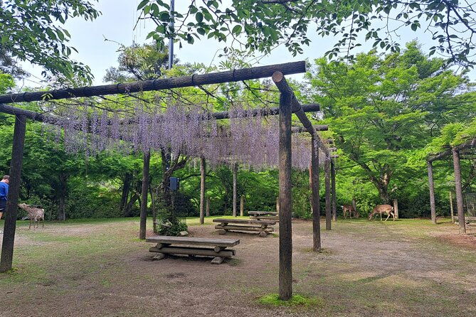 miyajima-unesco-world-heritage-site-private-tour