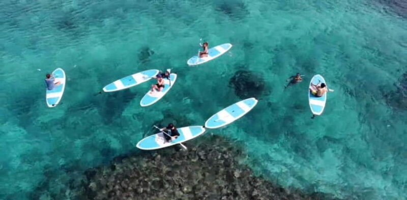 Miyako Island: English speaking SUP Tour - What to Expect from the Miyako Island SUP Tour
