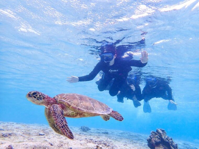miyako-island-kayaking-and-snorkeling-experience