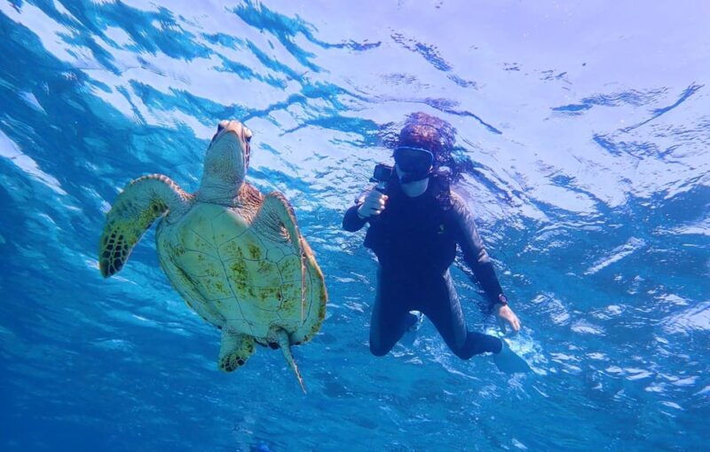 miyako-island-pumpkin-limestone-caving-snorkeling