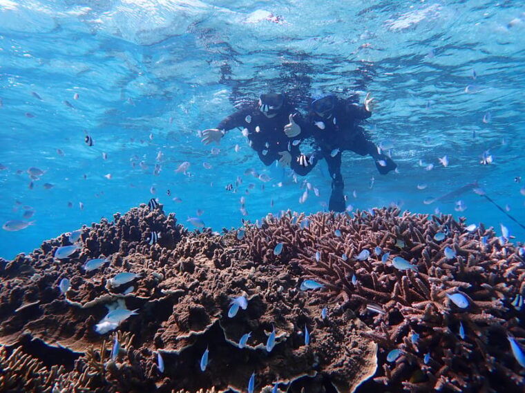 miyako-island-pumpkin-limestone-caving-snorkeling
