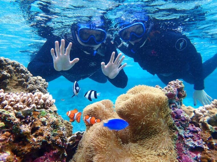 miyako-island-pumpkin-limestone-caving-snorkeling