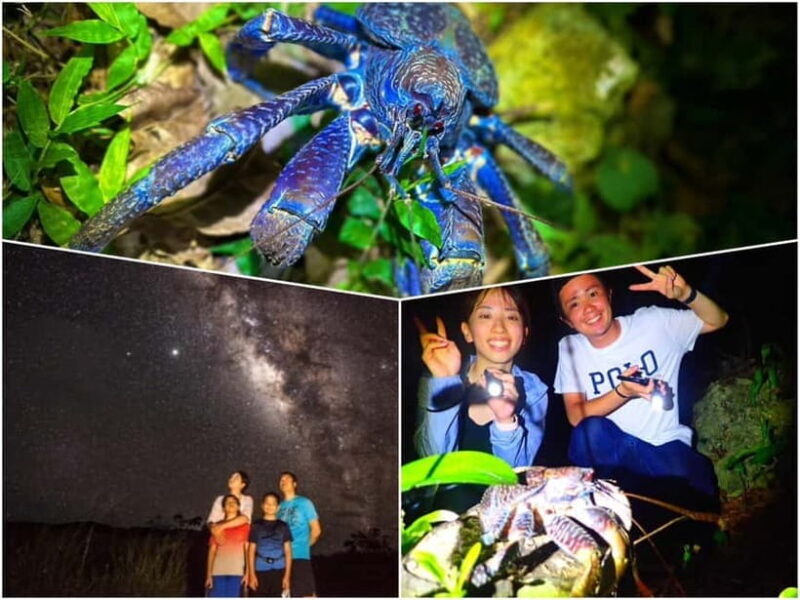 Miyako Island: Stars & Jungle Night Walking Tour - Key Points