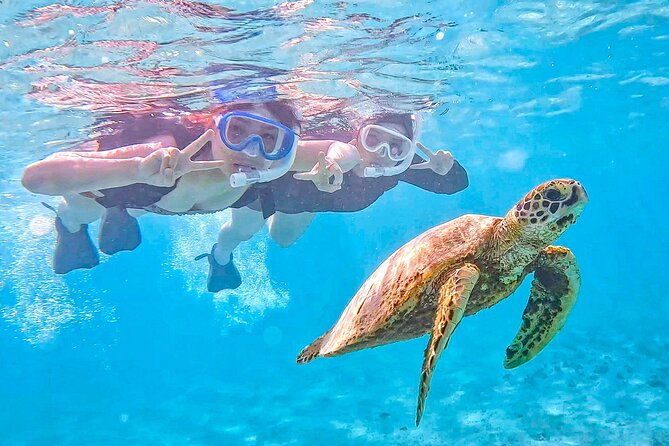 miyako-two-activities-in-half-day-sup-and-sea-turtle-snorkeling