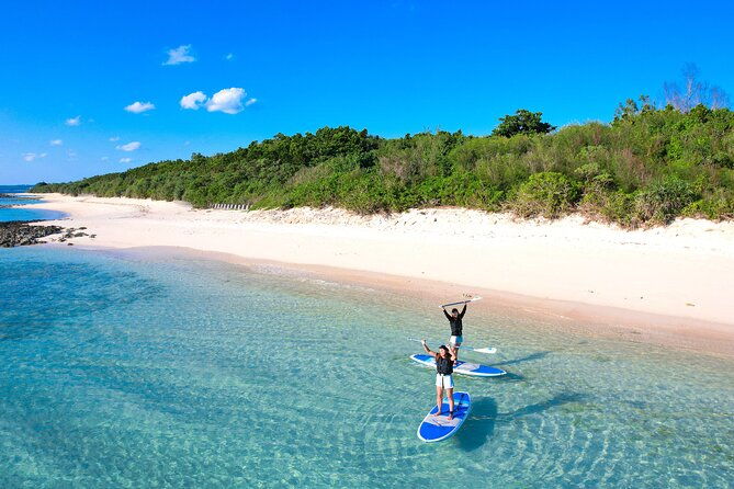 miyako-two-activities-in-half-day-sup-and-sea-turtle-snorkeling