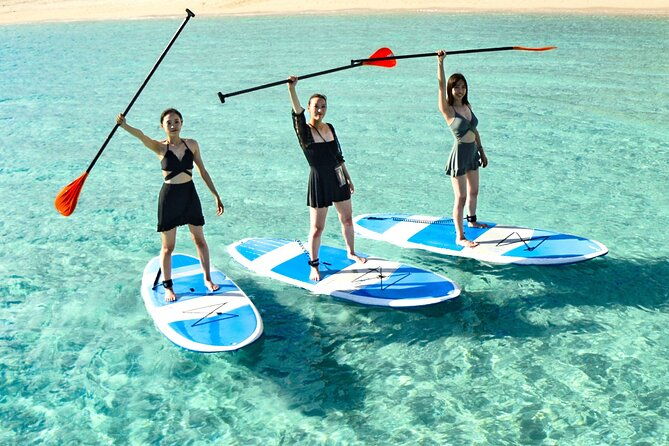 miyako-two-activities-in-half-day-sup-and-sea-turtle-snorkeling