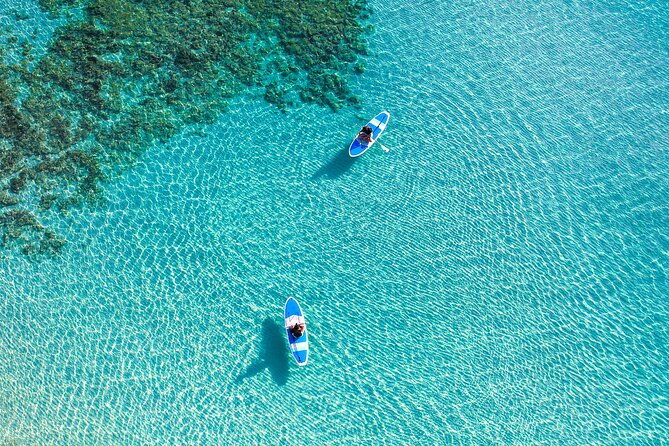 miyako-two-activities-in-half-day-sup-and-sea-turtle-snorkeling
