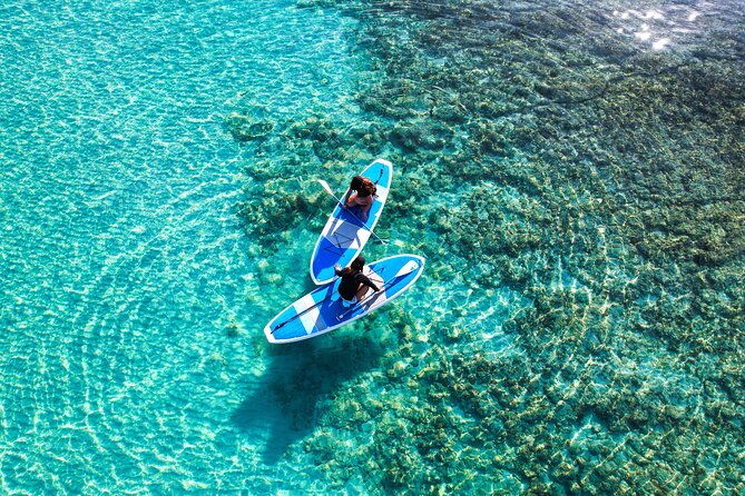 miyako-two-activities-in-half-day-sup-and-sea-turtle-snorkeling