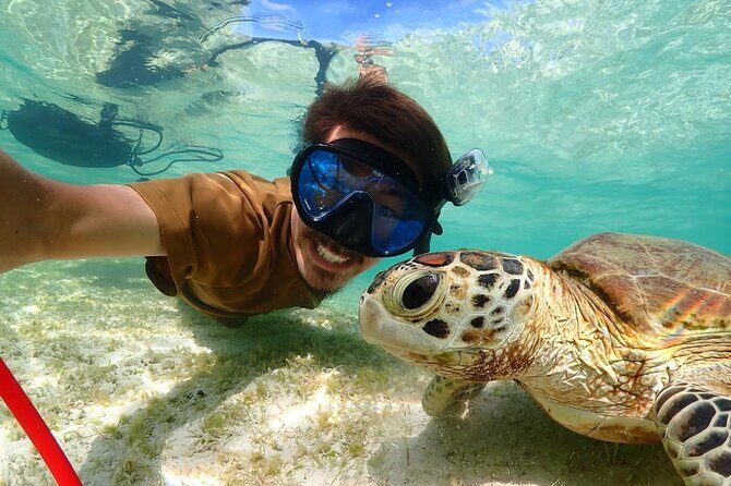 Miyakojima CharteredWith drone photographyClear SUP & Sea Turtle Snorkel TourNo additional chargeFull refund guaranteeFree rental and photography - Who This Tour Is Perfect For