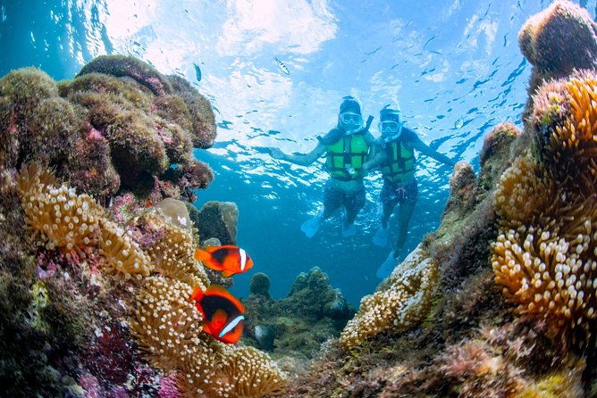 miyakojima-snorkel-tour-to-enjoy-coral-and-fish