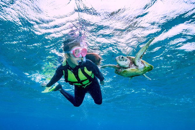 miyakojima-snorkel-tour-to-swim-with-sea-turtles