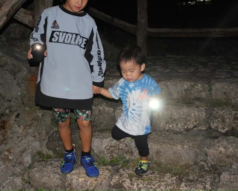 Miyakojima: Starry sky  Jungle Night Tour - Key Points