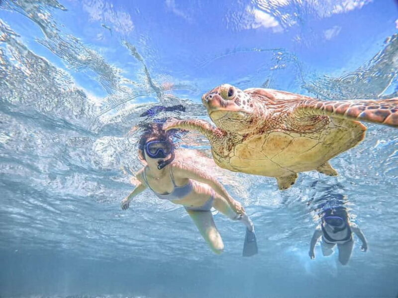 Miyakojima: SUP and Snorkeling- Two Activities in One Day - Overview of the Tour Experience