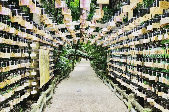 Miyazaki: Aoshima Mythology, Shrine Rituals & Coastal Rocks - Practical Details and What It Means for You