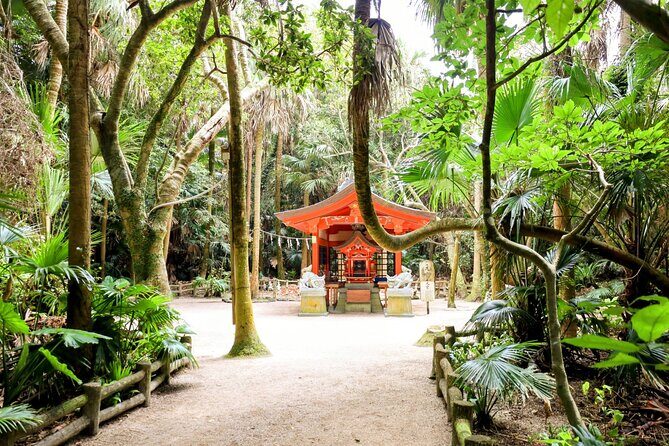 Miyazaki: Aoshima Mythology, Shrine Rituals & Coastal Rocks - Who Will Love This Tour?