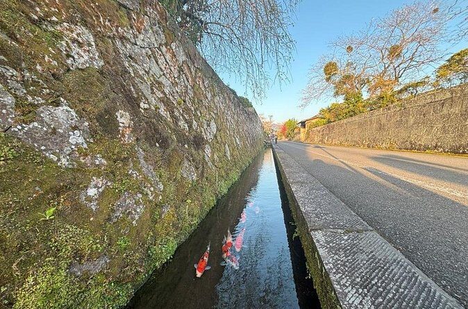 Miyazaki Private Tour by Car - The Sum Up