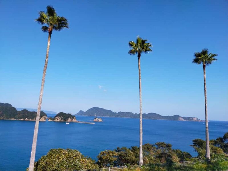 Miyazaki: Surfing Lesson with Equipment Rental Service - Why This Tour Offers Great Value