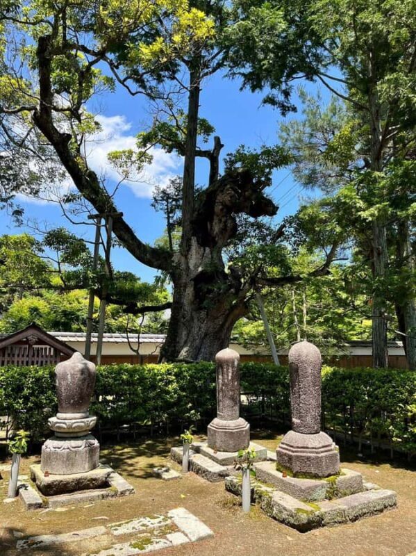 Miyazu: Culinary and Crafts Experience with Tea Ceremony - Final Thoughts