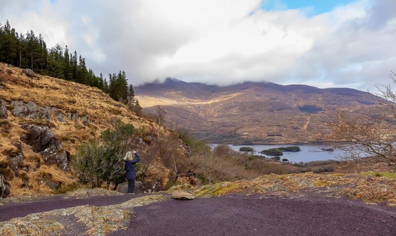 Mizen Head: Killarney National Park, Caha Pass Private Tour - Why This Tour Offers Great Value