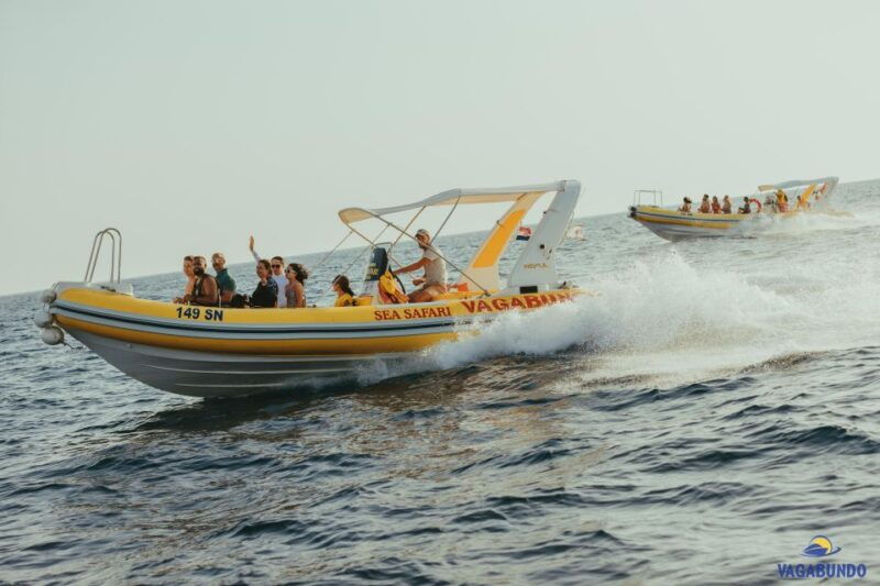 mljet-island-biking-boat-beach-national-park-day-trip