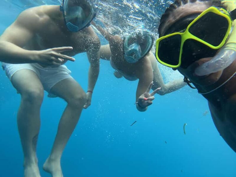 Mnemba dolphin & snorkel: from matemwe, pwani, kwingwa, Uroa - Key Points