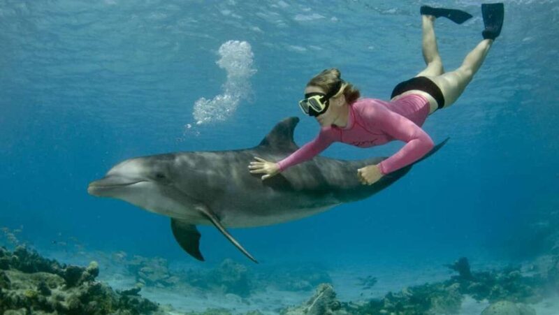 Mnemba: Dolphin Swim & Snorkeling Adventure Day Trip - Practical Tips for Travelers